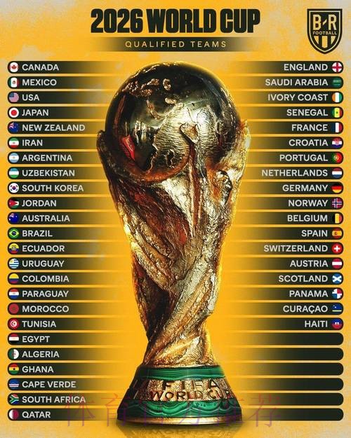 2026年世界杯赔率分析与预测